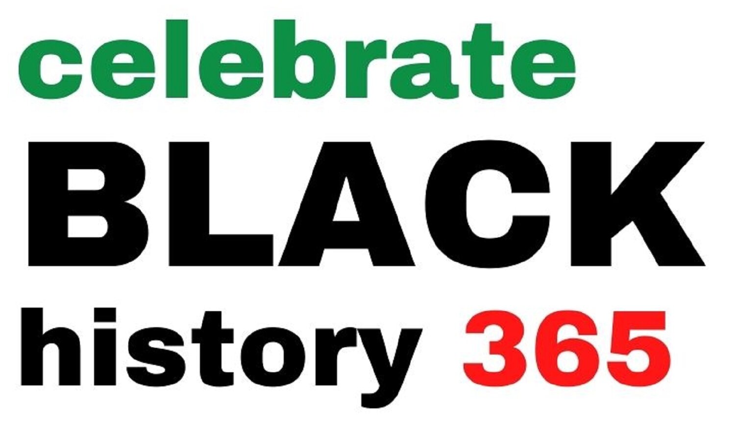 365 BLACK HISTORY FACTS visual data 8